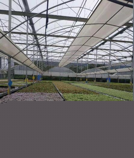 怎樣設(shè)計參數(shù)才能讓溫室大棚不怕大雪大風(fēng)呢