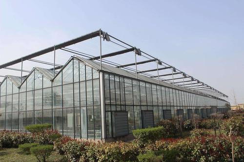 傳統(tǒng)的農(nóng)業(yè)與溫室大棚有什么區(qū)別，春季應(yīng)該如何進(jìn)行通風(fēng)管理