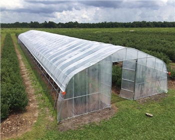 傳統(tǒng)的農(nóng)業(yè)與溫室大棚有什么區(qū)別，春季應(yīng)該如何進(jìn)行通風(fēng)管理