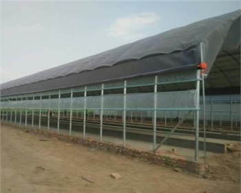 建四川養(yǎng)殖大棚用什么材料便宜且質(zhì)量好？