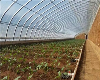 四川溫室大棚的分類有這些！