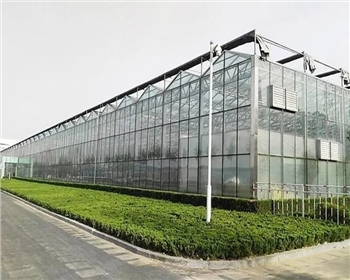 四川溫室大棚種植有哪些優(yōu)點是你還不知道的？