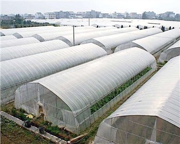 一起來(lái)看看四川蔬菜大棚種植知識(shí)，這七點(diǎn)你必須知道！