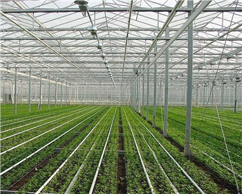 在四川溫室大棚內(nèi)的光照控制和調(diào)節(jié)如何實現(xiàn)？